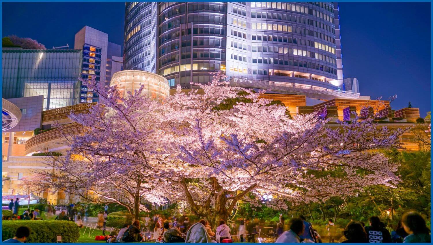 Stay in Little Tokyo Stay in Little Tokyo