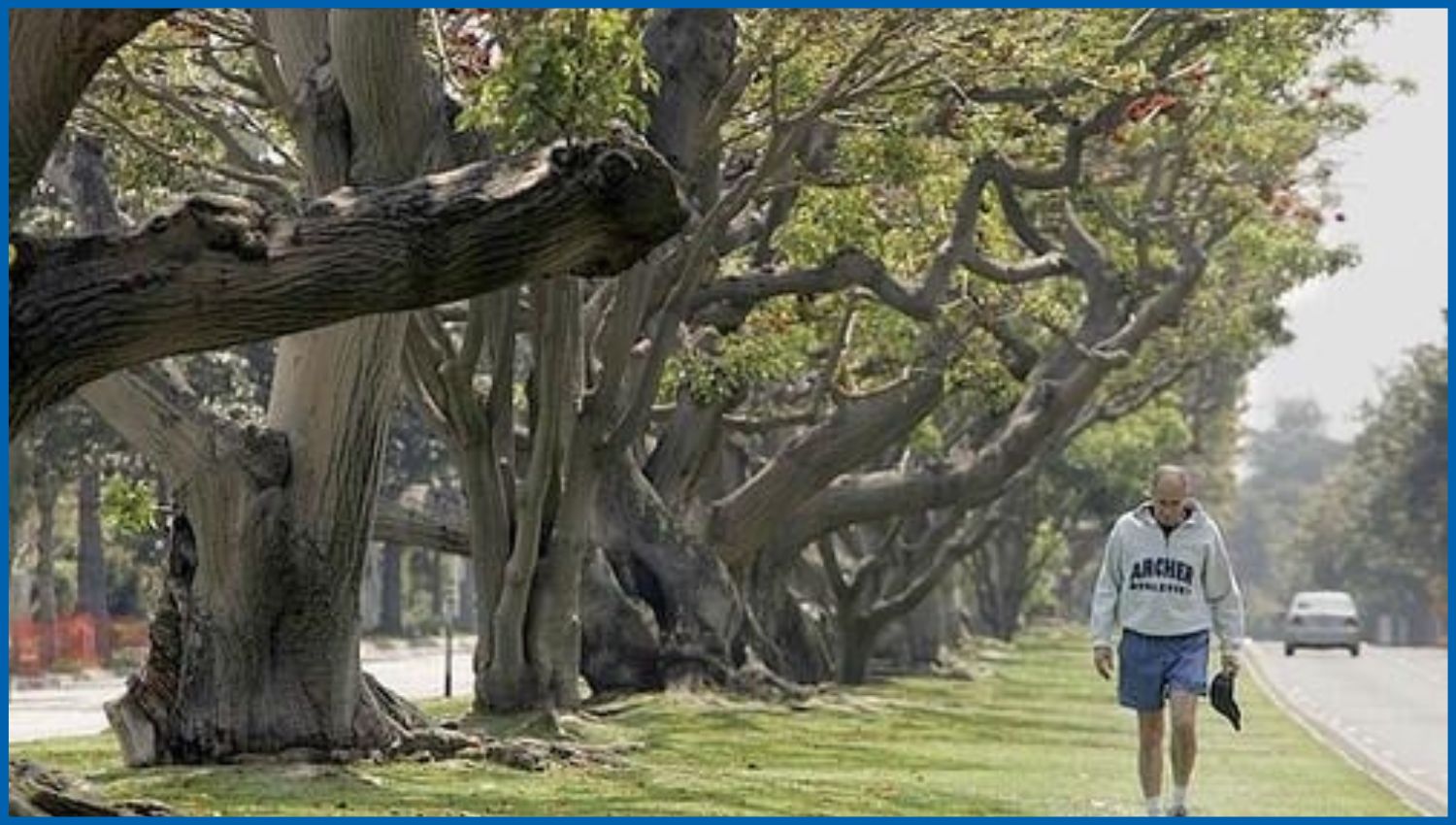 Get to Montana Avenue