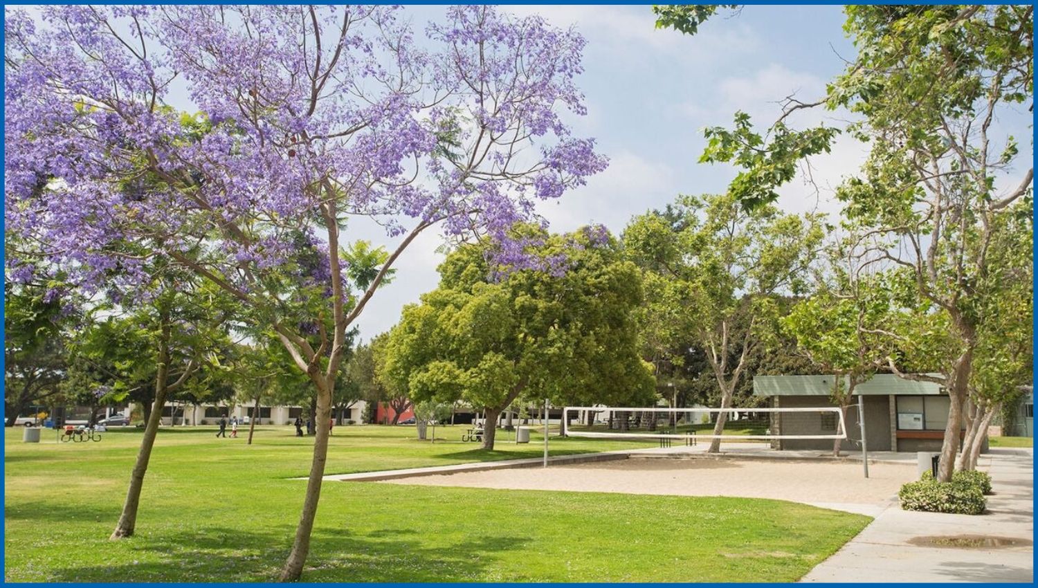 You See & Do at Clover Park