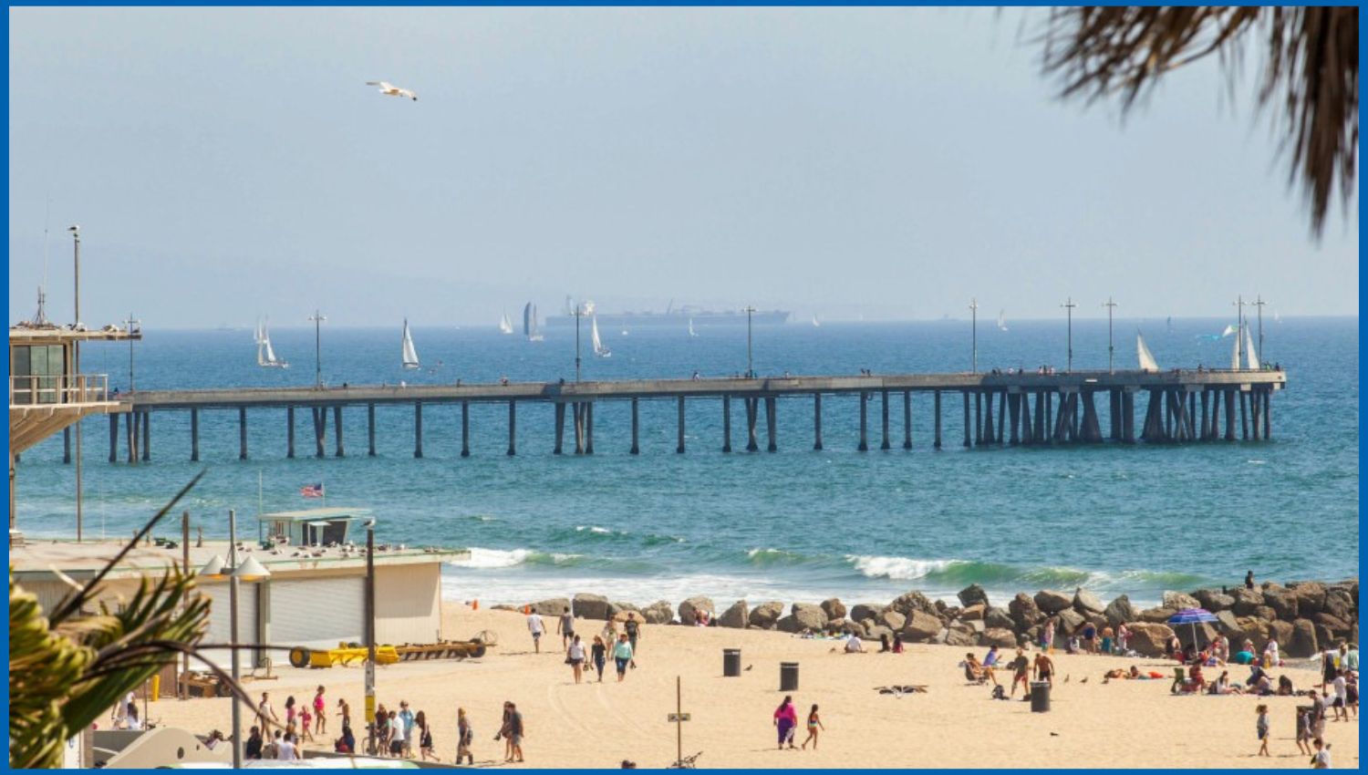 Top Things to Do at Venice Pier